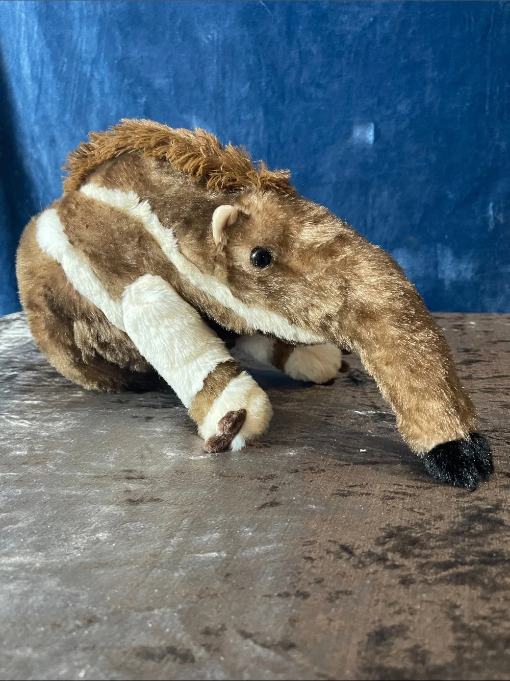 The petting zoo Plush Anteater